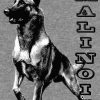 Belgian Malinois are the Best Lightweight Sweatshirt - Image 2