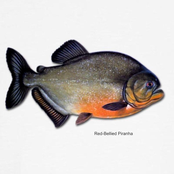 Red-Bellied Piranha Fish Men’s Crewneck Sweatshirt - Image 3